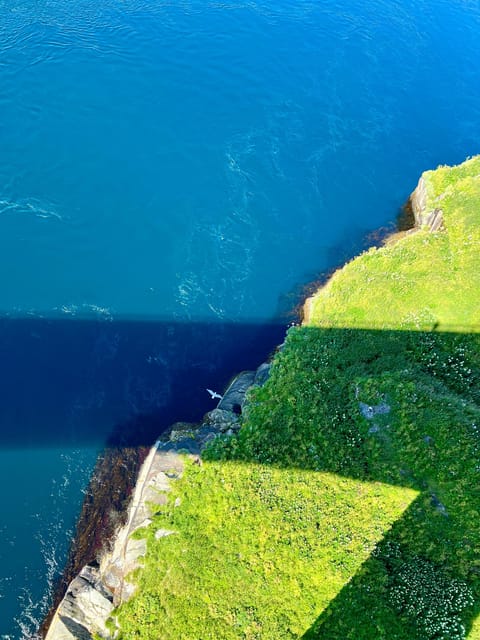 Saltstraumen: Arctic Adventure and Scenic Journey W/ Pick up - Inclusions and Amenities