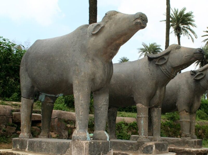 Same Day Tour Of Mount Abu From Udaipur - Must-See Attractions