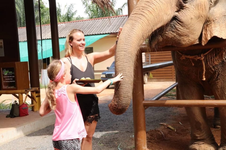 Samui: Feeding Program at the Elephant Home Nursery - Participant Age Requirements