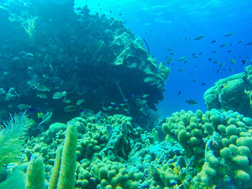 San Andrés: Walking Under the Sea Experience - Frequently Asked Questions