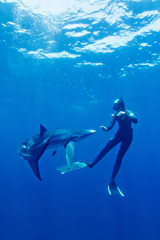 San Diego: Blue Shark Offshore Snorkel Adventure! - Inclusions and Exclusions