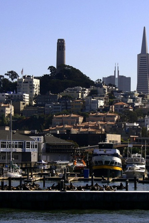 San Francisco: Hop-On Hop-Off City Bus Tour and Bay Cruise - Customer Feedback