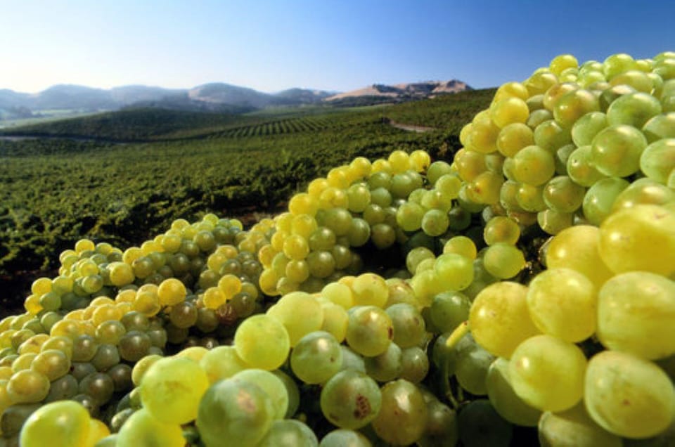 San Francisco: MacRostie Winery and Vineyard Wine Tour - Transportation Details