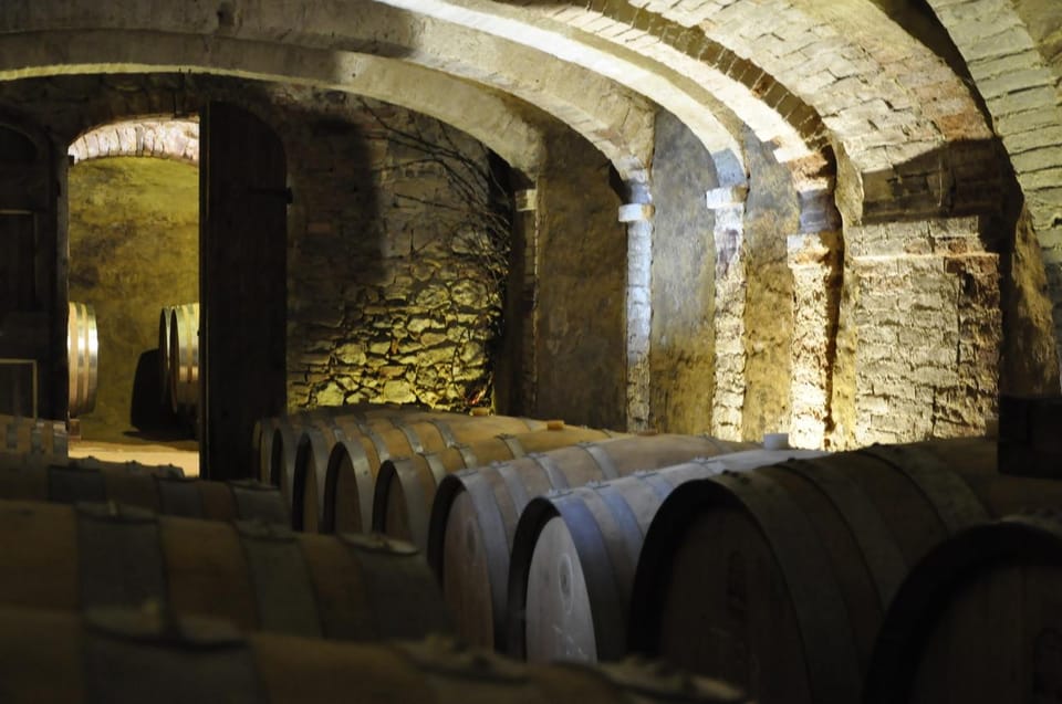 San Gimignano: Wine Tasting in an Organic Family Winery - Organic Farming Practices