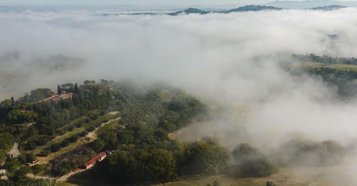 San Gregorio Tasting - Accessibility Features