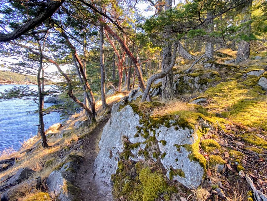 San Juan Island: Full Day Kayaking Tour - Guided Tour Experience