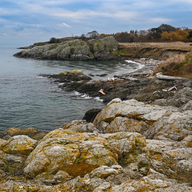 San Juan Island NP: Scenic Coast and Wildlife Hike - Important Notes