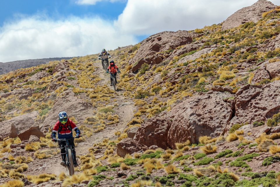 San Pedro De Atacama: Volcano Downhill Bike Tour - Customer Feedback Highlights