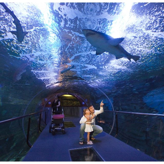 San Sebastian Aquarium Entry Ticket and City Walking Tour - Cancellation and Refund Policy