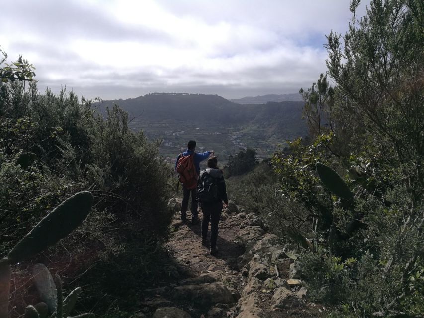 Santa Cruz De Tenerife: 2-Hour Hiking Tour in Anaga Forest - Inclusions