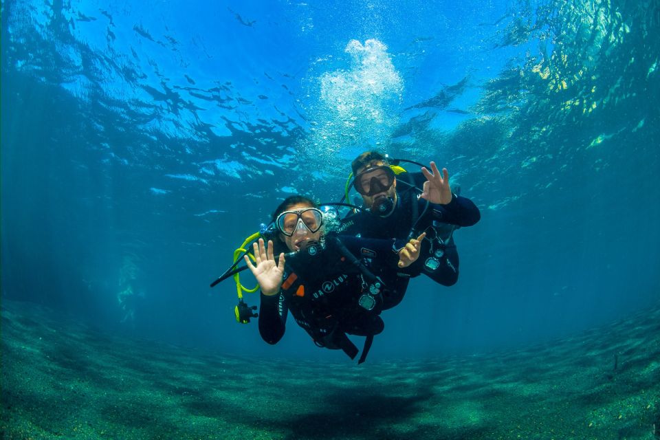 Santa Cruz De Tenerife: Beginners Diving & Introduction - Highlights of the Activity