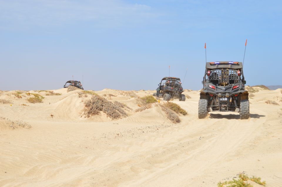 Santa Maria: Desert Adventure on a 500cc or 1000cc Buggy - Frequently Asked Questions