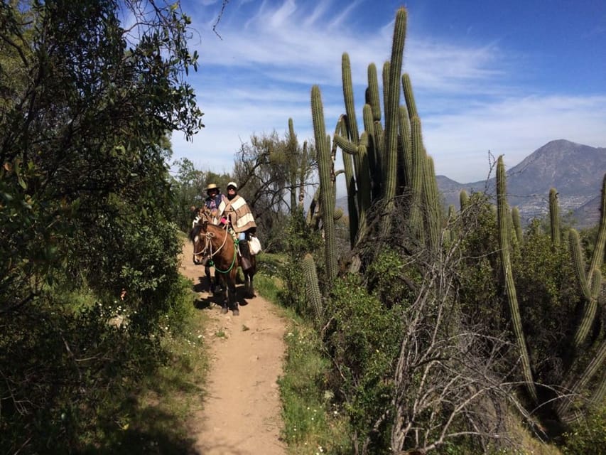 Santiago: Half-Day Private Andean Foothills Horseback Riding - Safety and Requirements