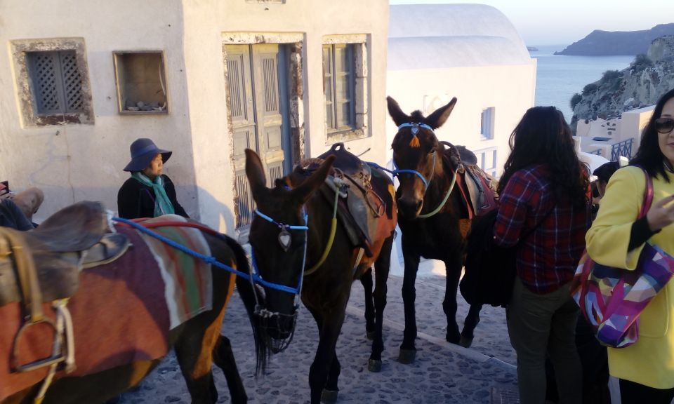 Santorini: Small-Group Highlights Tour of Venetian Castles - Interactive Music Show