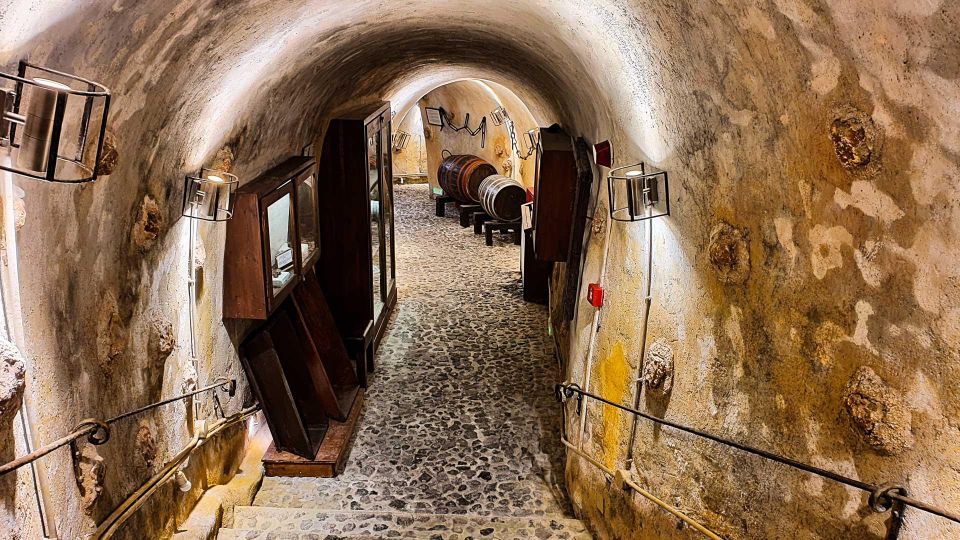 Santorini Visit Cave Wine Museum and Wine Tasting - Entrance Fees and Gratuities