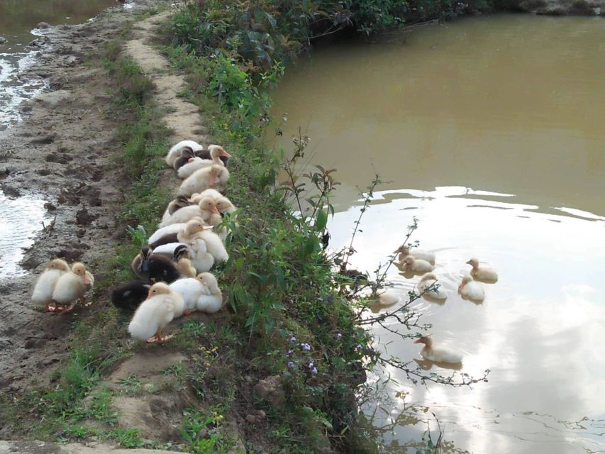 Sapa Bike Tour to Muong Hoa Valley and Local Life Experience - Inclusion of Services