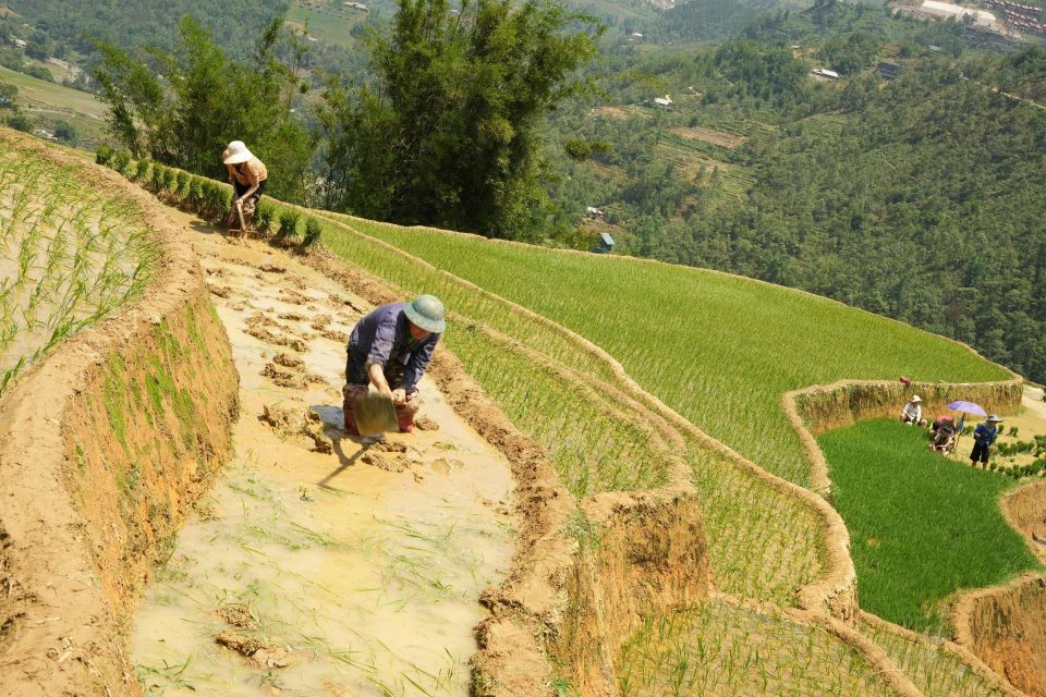 Sapa Daily Trip: Easy Trekking and Hotel 2 Days 1 Night - Day 2 Highlights