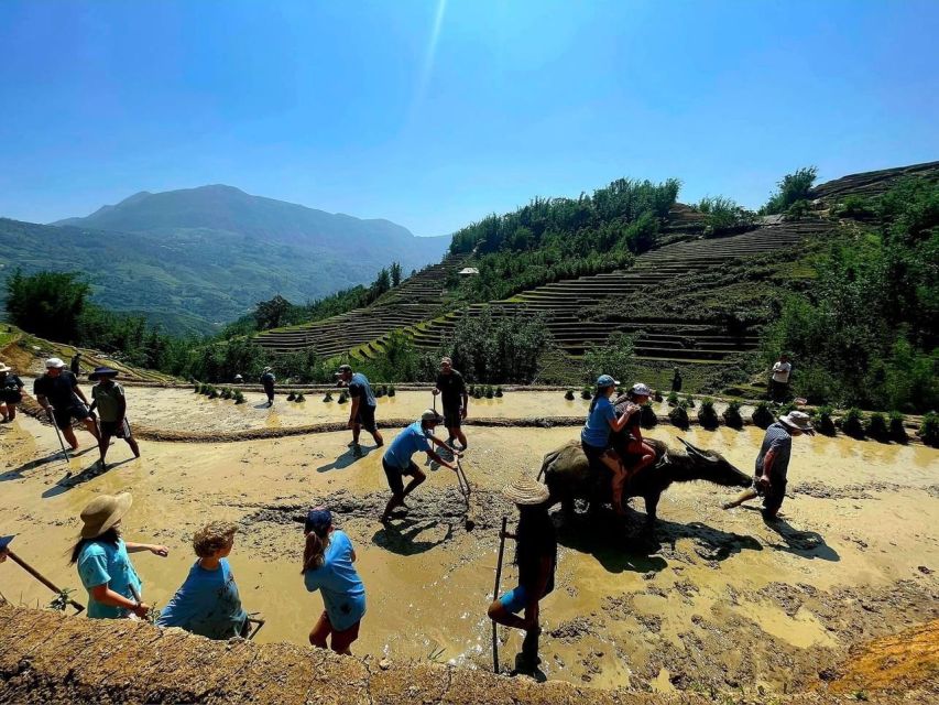 Sapa: Guided Full-Day Trekking Muong Hoa Valley With Lunch - Inclusions and Exclusions