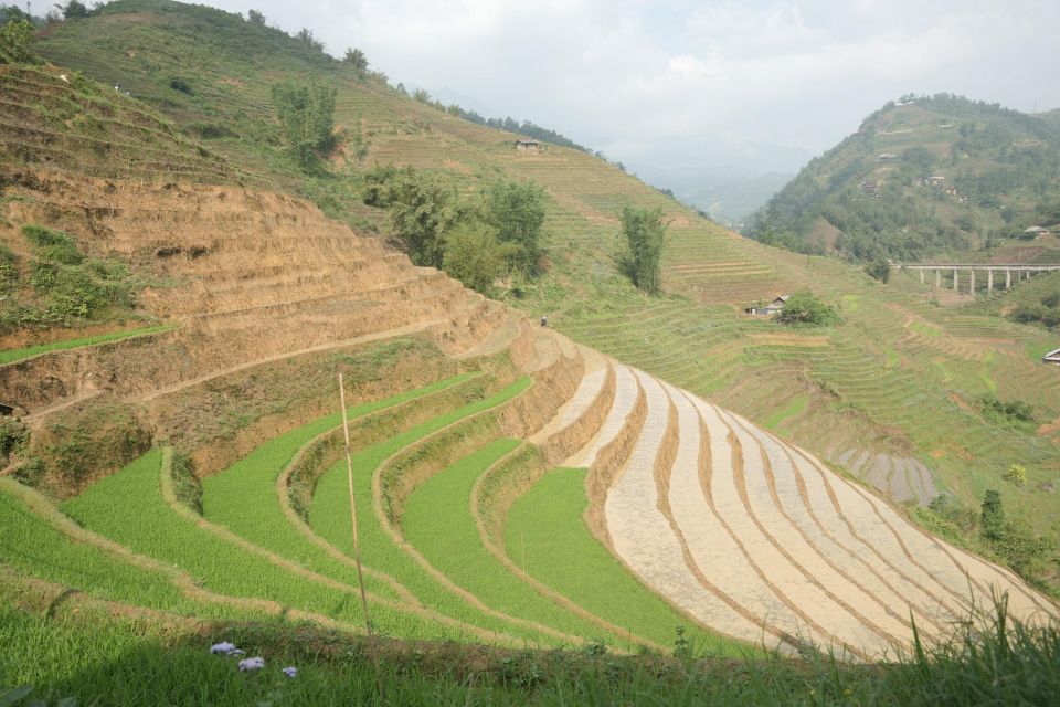 Sapa Half Day Hard Trekking Villages Trip With Lunch & Guide - Important Information