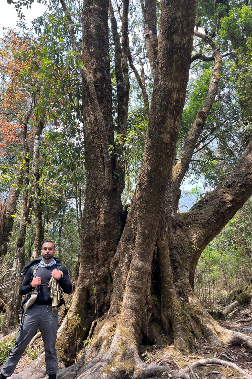 Sapa Hiking Tour : Fansipan 1day Hike Fansipan 2days - Itinerary and Activities