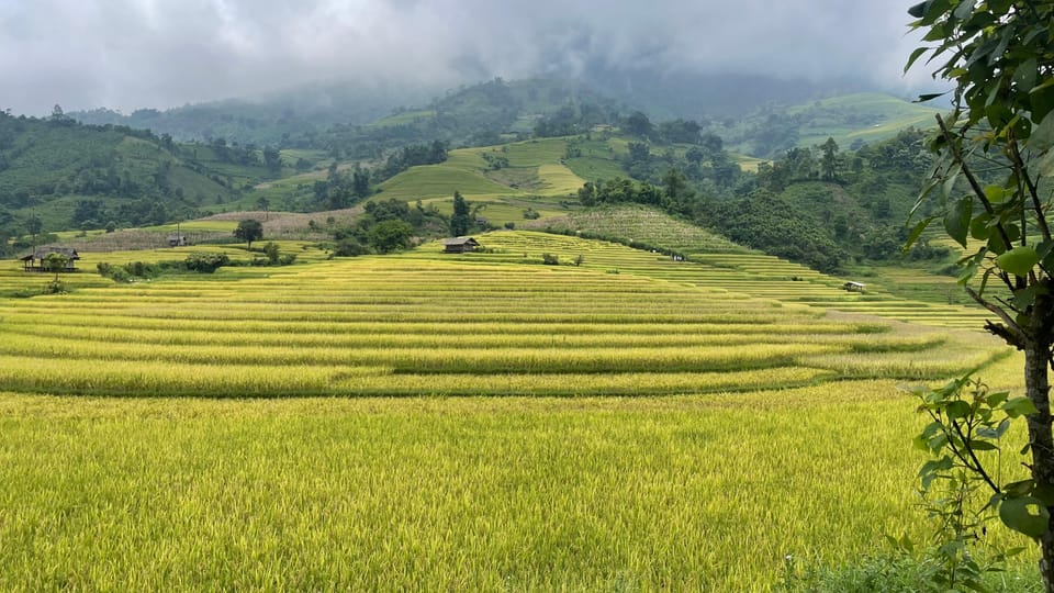 Sapa: Motorbike Tour 1 Day Visit Waterfalls & Local Villages - Important Information