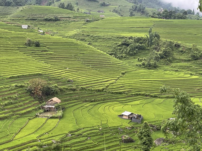 Sapa: Private Muong Hoa Valley and Homestay Trekking 2-Day - Whats Included