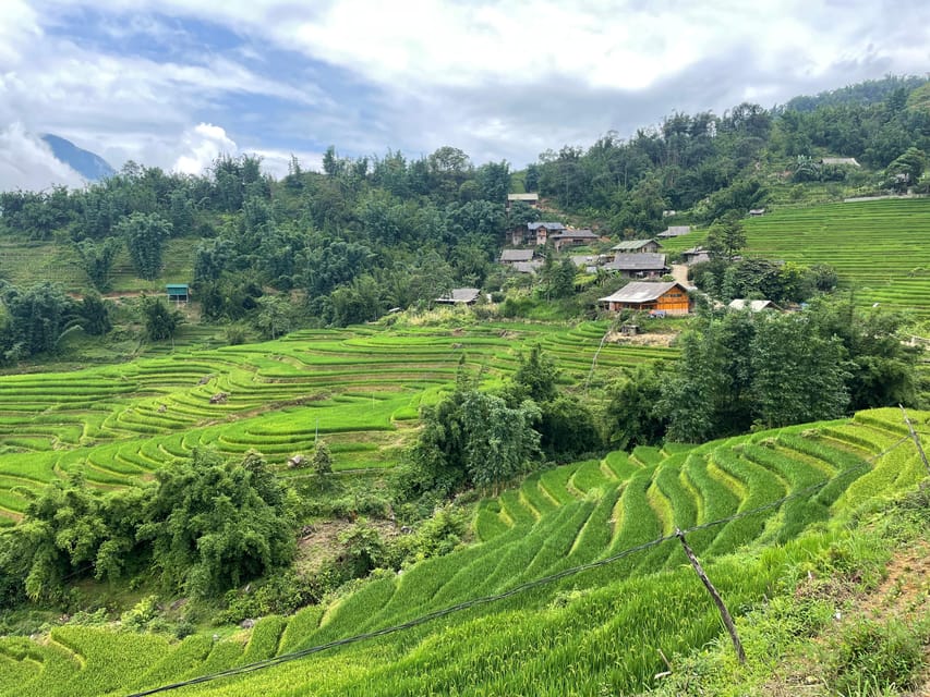 Sapa: Trekking Through Terraced Rice Fields & Valley 1 Day - Cultural Insights