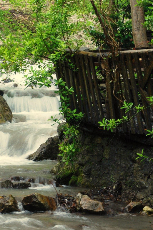 Sapanca Maşukiye Tour From Istanbul - Included Amenities