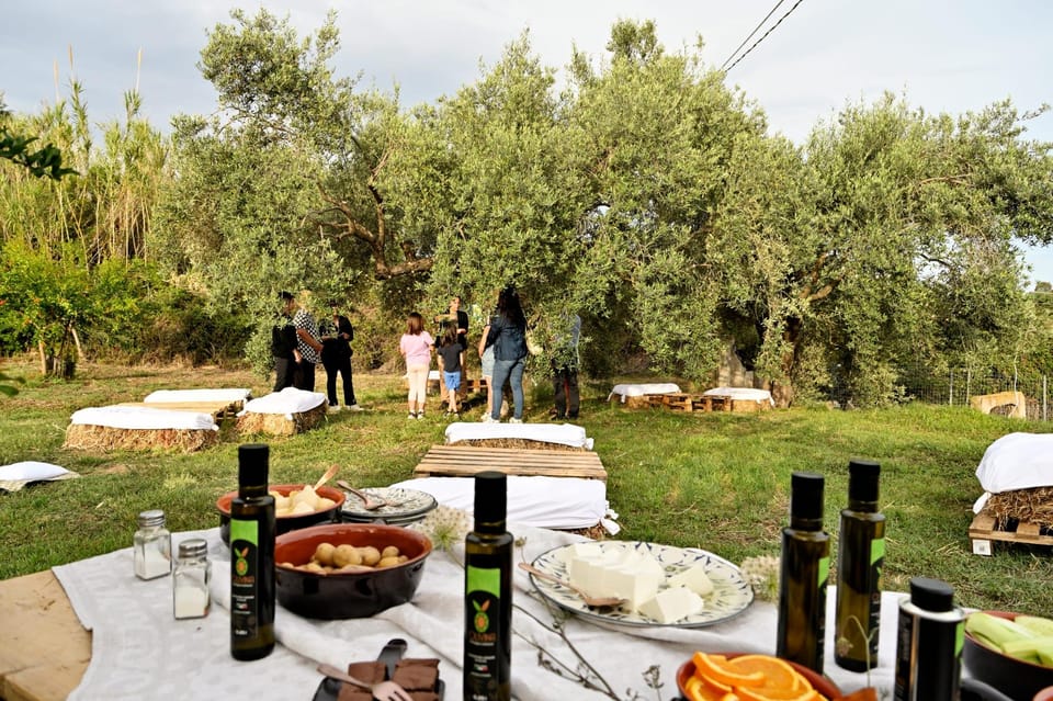 SARDINIA FOOD Tour in the Oil Mill, With Tasting, at Sunset. - Learning About EVO Oil