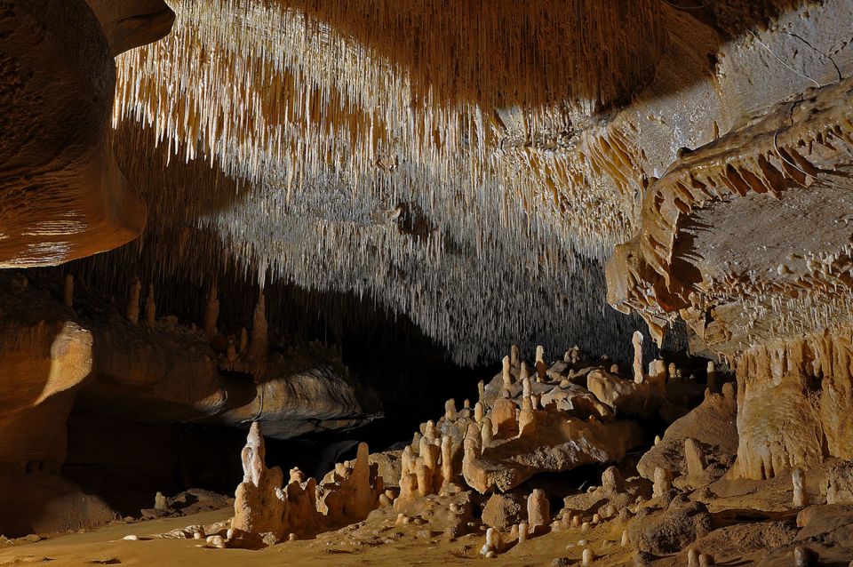 Sarlat : Private Tour to an Original Prehistoric Cave - Important Visitor Information