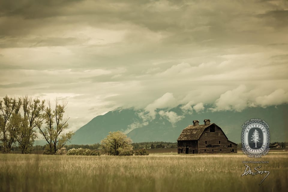 Scenic Driving Tour Flathead Lake and Bison Range - Transportation and Pickup Details