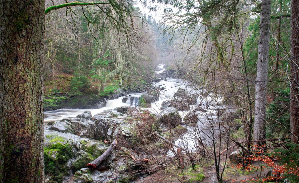 Scone Palace, Nature Walk and Whisky Experience Private Tour - Nature Walk at The Hermitage