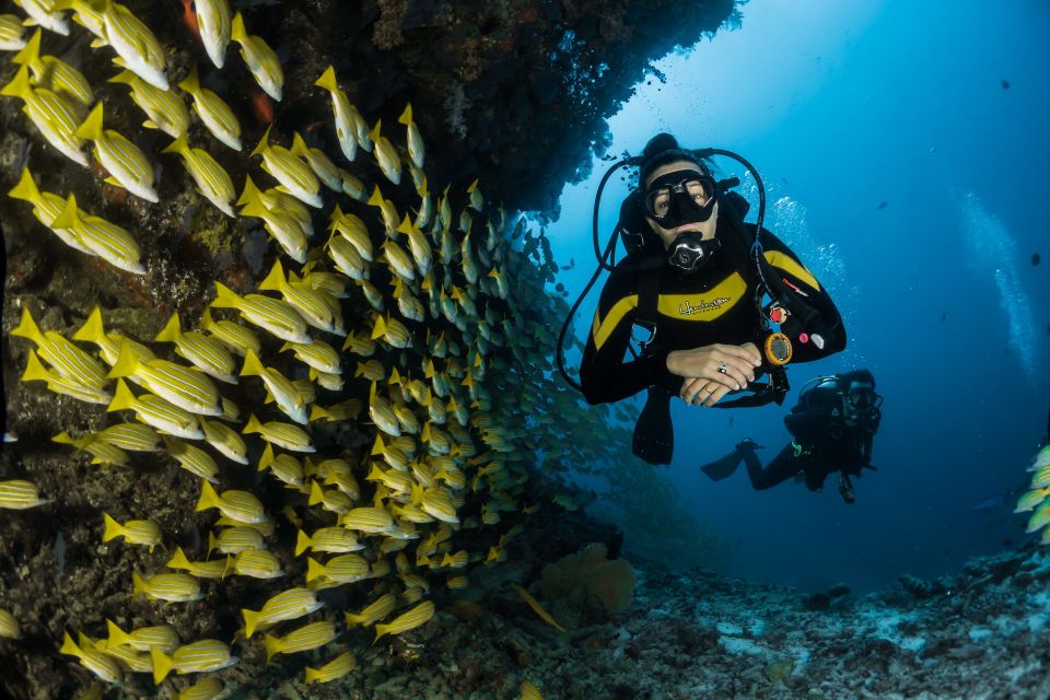 Scuba Diving at Dusk in Unawatuna - Underwater Adventure