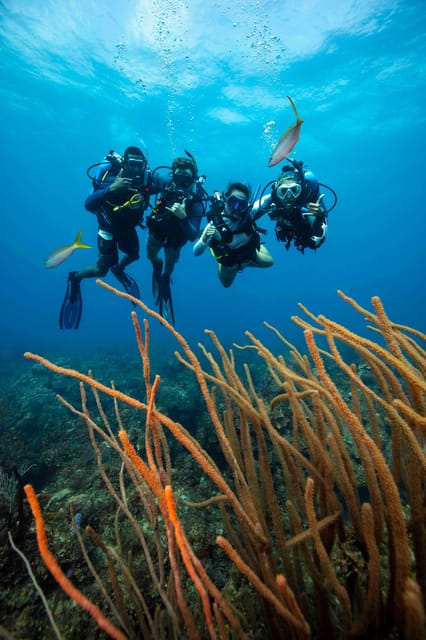 Scuba Diving Experience for Beginners In Greece - Pre-Dive Lessons and Preparation