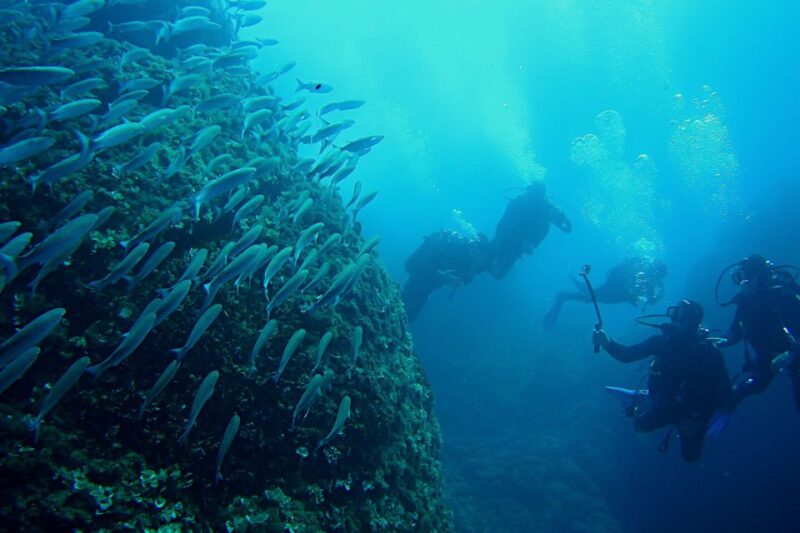 Scuba Diving in Dubrovnik: 1 Dive for Certified Divers - Requirements for Participation