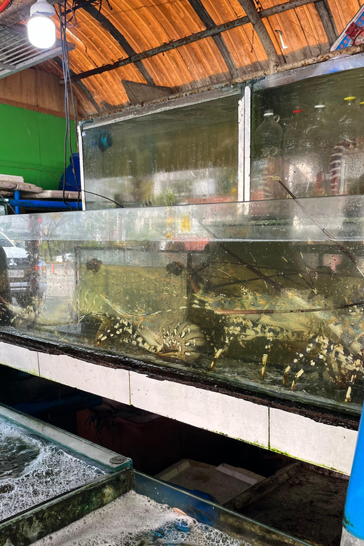 Seafood (Dampa) Market Experience - Vibrant Ambiance