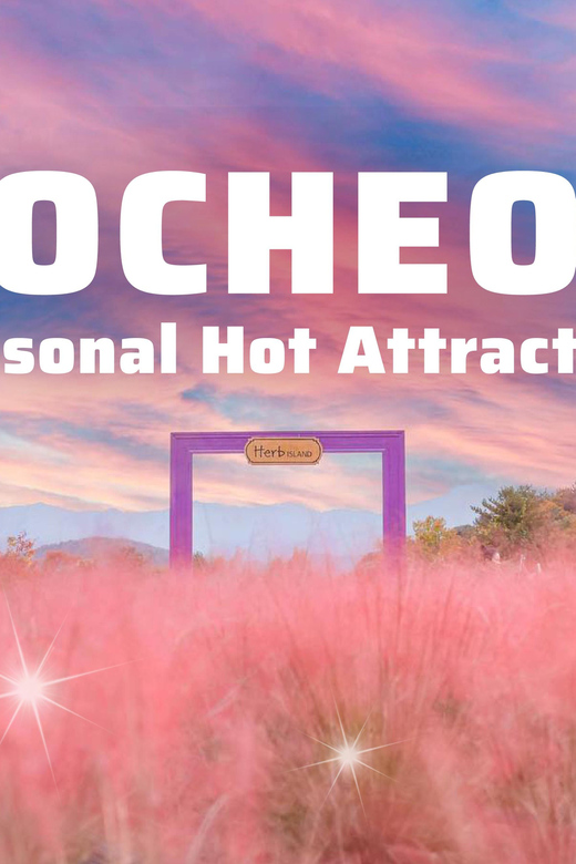Seasonal Pocheon Full Day Tour With Apple Farm Experience - Included in the Tour