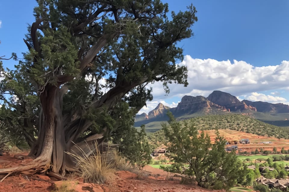 Sedona: Guided Vortex Jeep Tour - Meeting Point and Directions