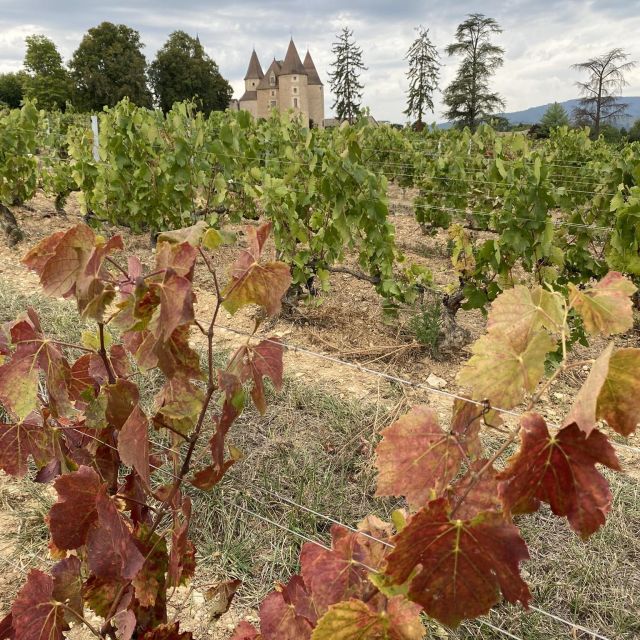 Self-Guided Day-Trip by Train to the Beaujolais (From Lyon) - Preparation and Requirements