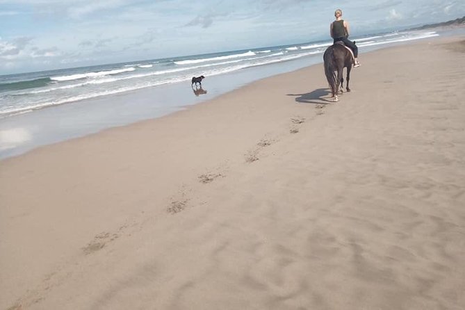 Seminyak Beach Horse Riding - Pricing Details
