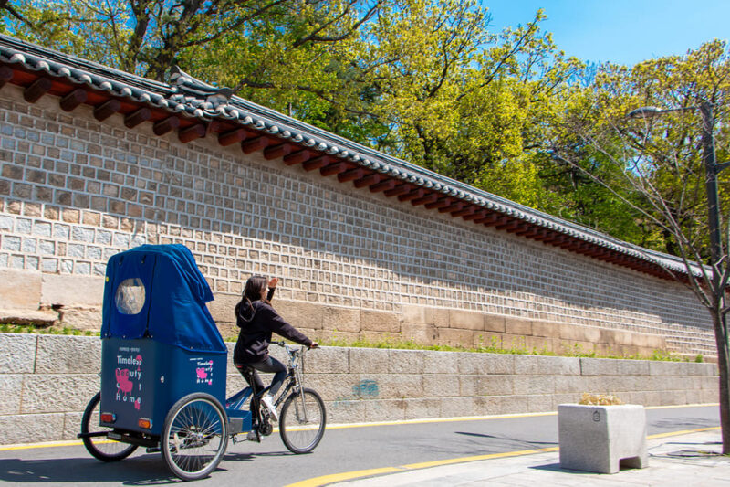 Seoul: Bukchon Hanok Village Pedicab Tour - Inclusions