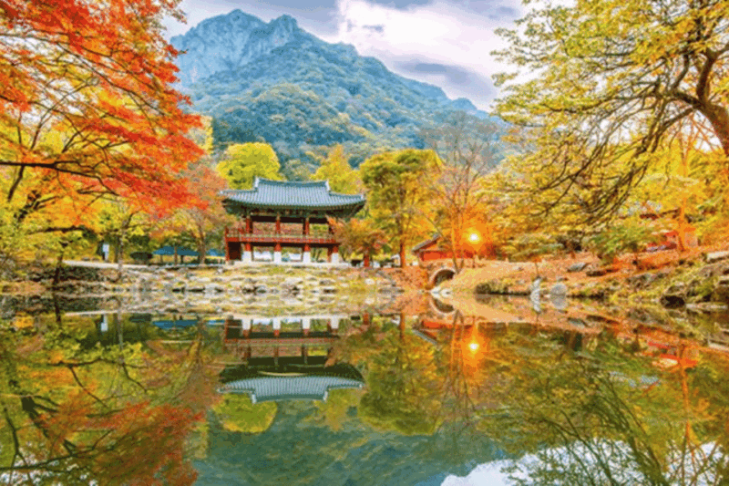 Seoul: Classic Naejangsan National Park One Day Tour - Important Information and Requirements