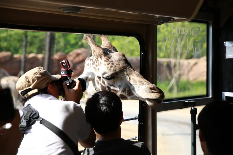 Seoul: Everland One Day Pass With Private Transfer - Top Attractions and Experiences