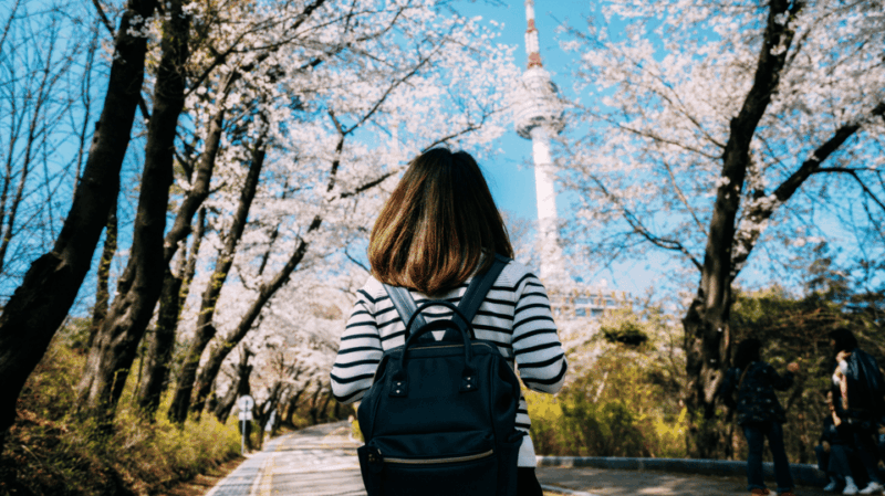 Seoul Korea 7 Day Sightseeing Tour Shopping & Street Food - Cultural Experiences and Activities