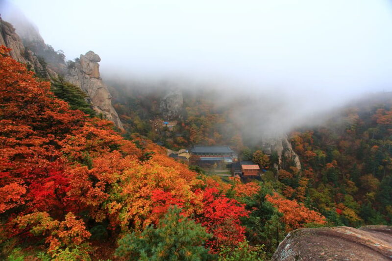 Seoul: Mt. Seorak National Park Autumn Foliage One Day Tour - Transportation and Travel