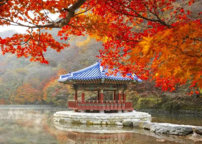Seoul: Naejangsan National Park Autumn Foliage Day Tour - Inclusions and Exclusions