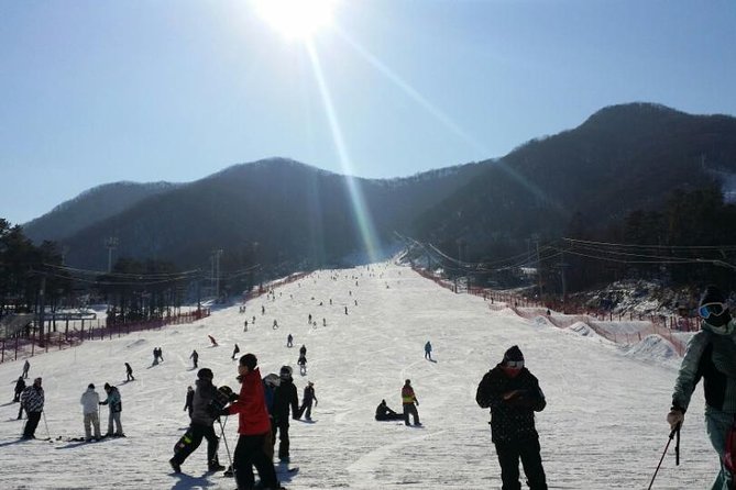 Seoul Ski Tour at Jisan Forest Resort - Accessibility and Participation