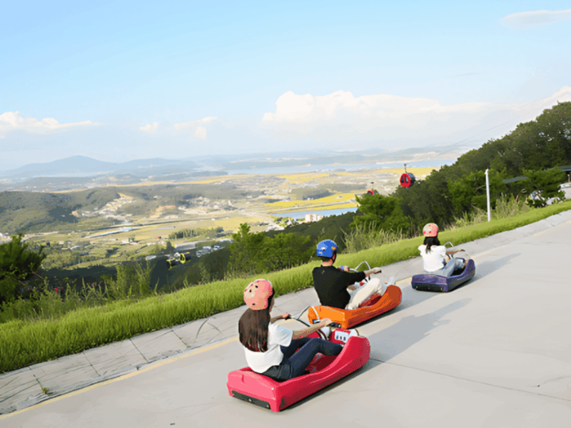 Seoul Suburb : Private Car Rental With Driver Day Trip - Included and Excluded Services