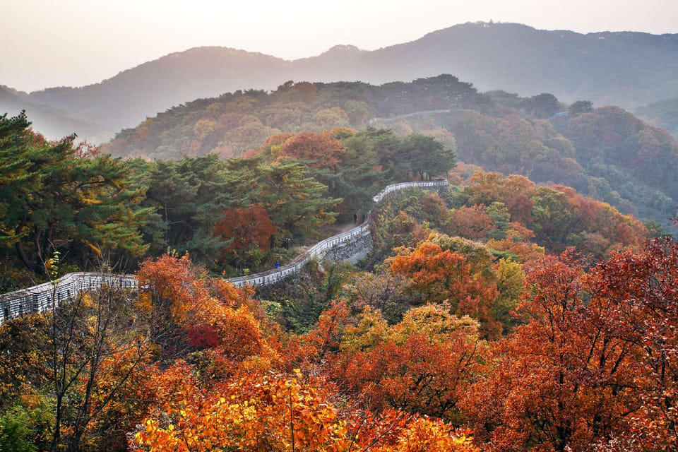 Seoul: UNESCO Namhansanseong & Starlight Garden Night View - Relaxation at Yongin Green Whale Cafe