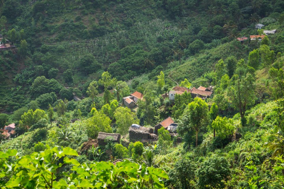 Serra Malagueta Natural Park: Hike to Gongon Valley & Lunch - Important Considerations